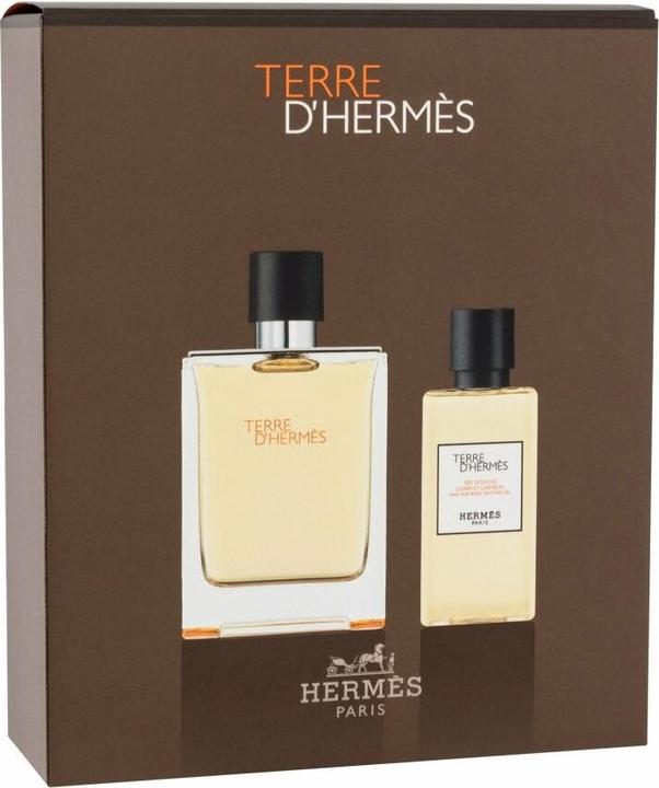 Immagine prodotto Hermès Terre D' (Eau de toilette, 100 ml)