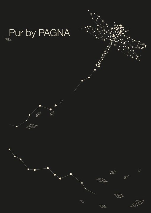 Produktbild Pagna Pur (A5, Kariert, Harter Einband)