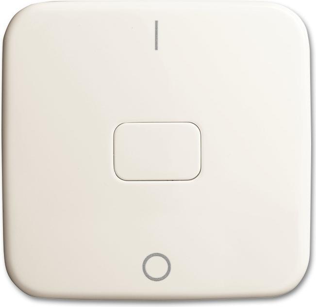 Actual product image Busch-Jaeger Seesaw