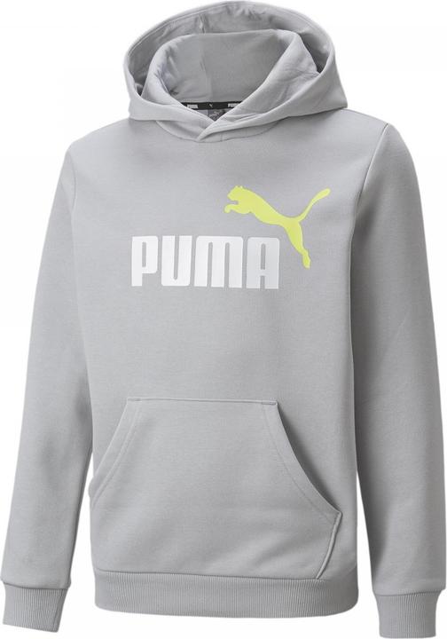 Actual product image Puma ESS+ 2 Col Big Logo Hoodie FL B (140)