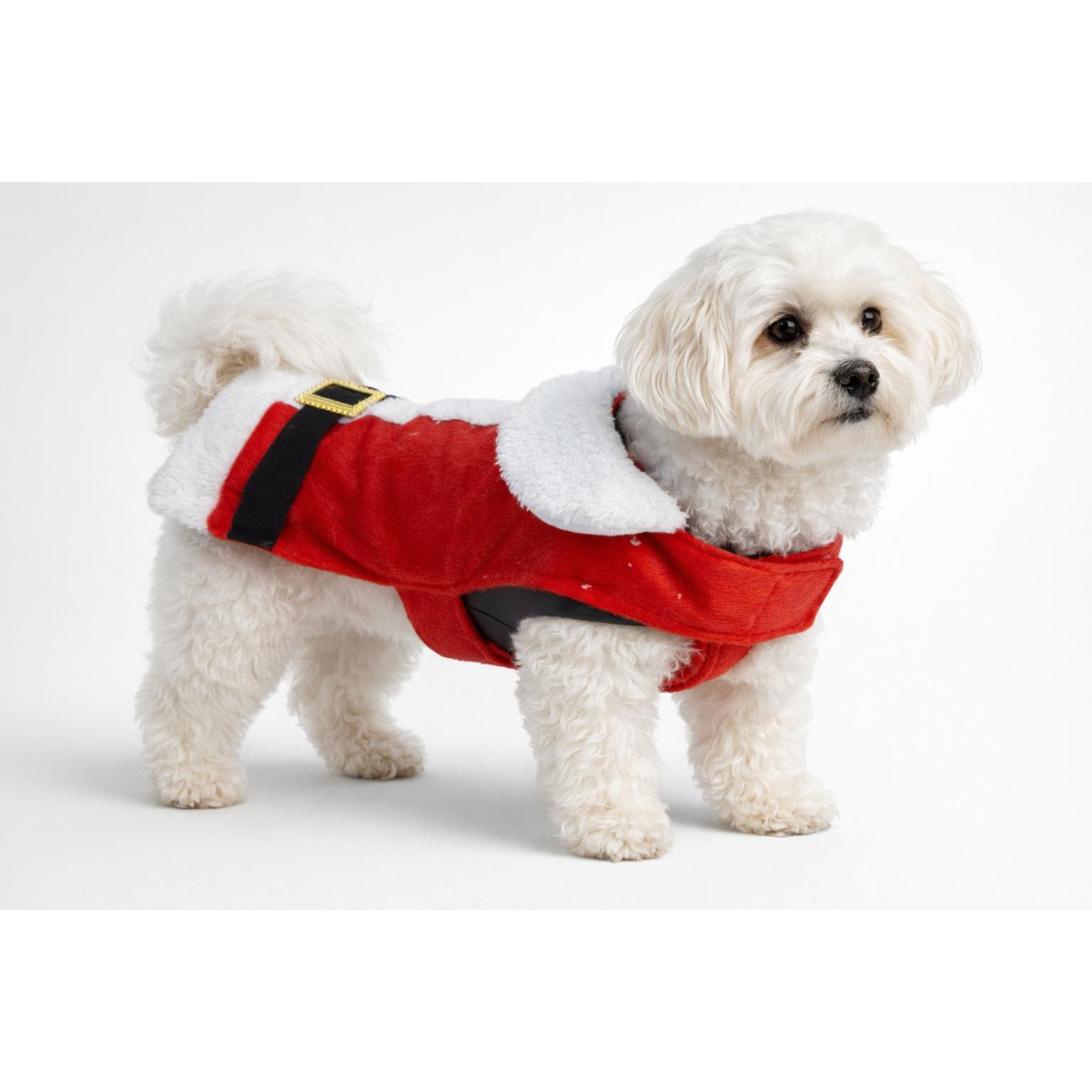 Companion Juletøj til hunde, 40,5x53,5x35,5 cm, Abbigliamento cani