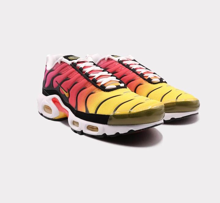 Image du produit Nike Air Max Plus (45)