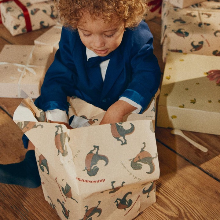 Produktbild Konges Slojd FSC Geschenkpapier Dansosaurus (Geschenkpapier)
