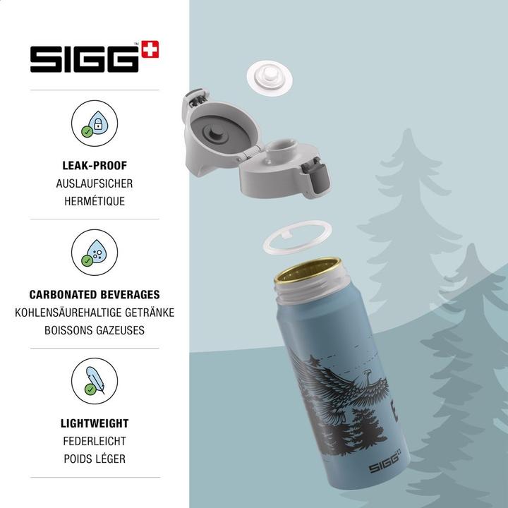 Actual product image Sigg WMB One (0.60 l)