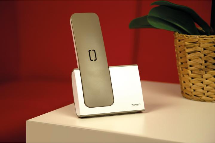 Actual product image Profoon PDX-8400TE