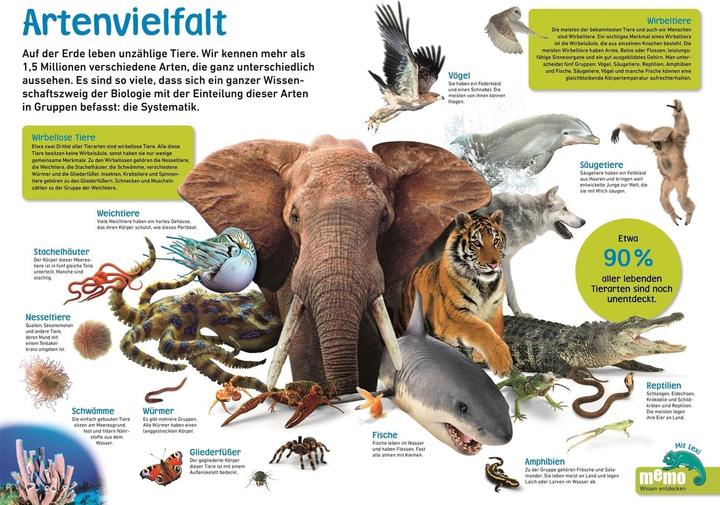 Produktbild memo Wissen entdecken. Tiere (Deutsch, Tom Jackson, 2020)