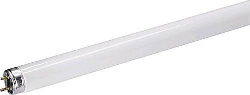 Image du produit Osram Lena (G13, 36 W, 3350 lm, 1 x, B)