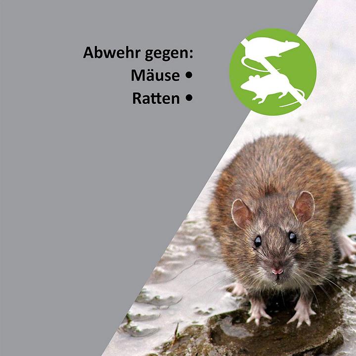 Actual product image Colibri Mice and rat free mobile