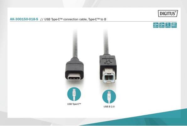 Image du produit Digitus USB C – USB B (1.80 m, USB 2.0)