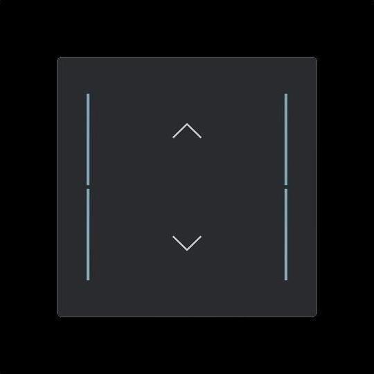 Actual product image Busch-Jaeger Cover