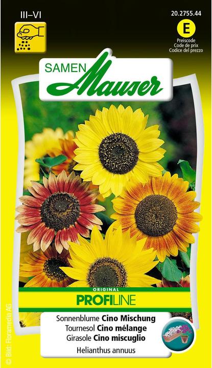 Samen Mauser Sonnenblume Cino Mischung (Pflanzensamen)