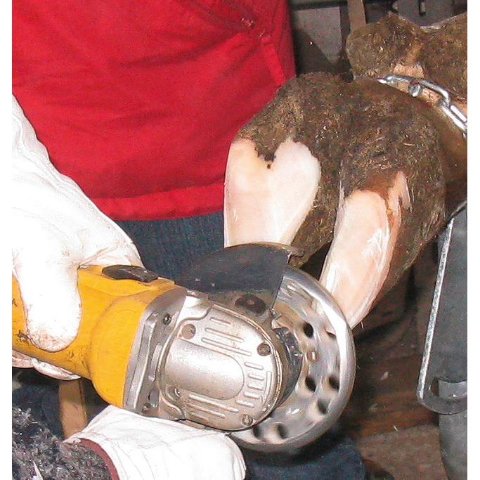 Disque de parage Kerbl 6 Cut