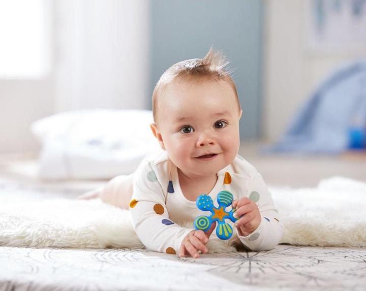 Image du produit Haba Griffon étoile bleu