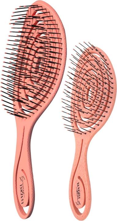 Image du produit Vanessa Beauty Detangle Straw Brush Set