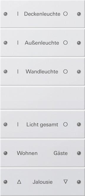 Pure white glossy (lacquered)