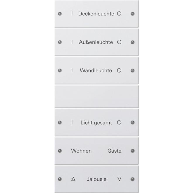 Gira, Zubehör Schalterprogramm, Wippenset 6f (3+3) beschr. System 55 220603