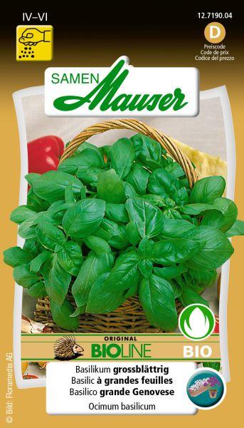 Actual product image Samen Mauser Bud organic basil large-leaved (Herb seeds)