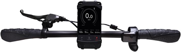 Produktbild Allegro City (20 km/h, 18 km, 300 W)