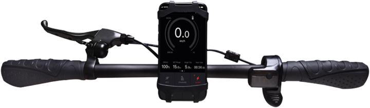 Produktbild Allegro City (20 km/h, 18 km, 300 W)