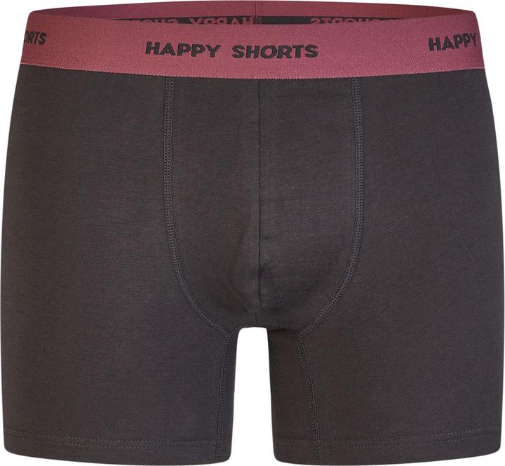 Produktbild Happy shorts Boxer Jersey (XL, 2er Pack)