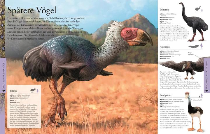 Produktbild Dinosaurier und andere Tiere der Urzeit für clevere Kids (Deutsch, DK Verlag - Kids, 2019)