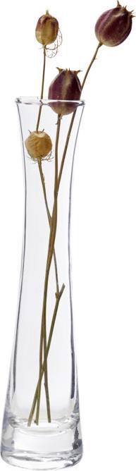 Image du produit Ambia Lynn (8 x 23 cm)