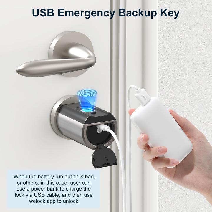 Actual product image Welock SECBN51 (Bluetooth, Fingerprint, Key card, Smartphone)