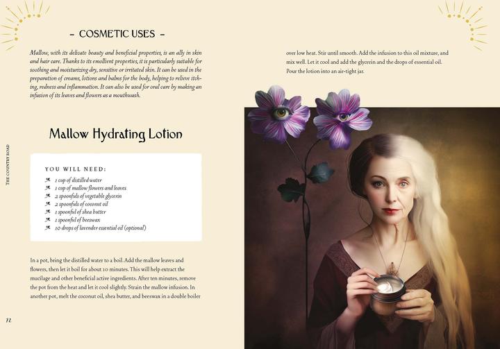 Produktbild Lattari:Kräuterkraft & Hexenmacht (Deutsch, Cecilia Lattari, 2024)