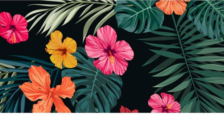 Produktbild Outdoorchef Arosa Textilverkleidung Aloha Hawaii