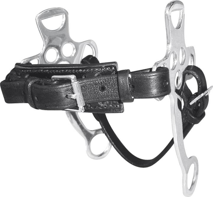 Actual product image Tattini Two-ring snaffle bit in solid stainless steel