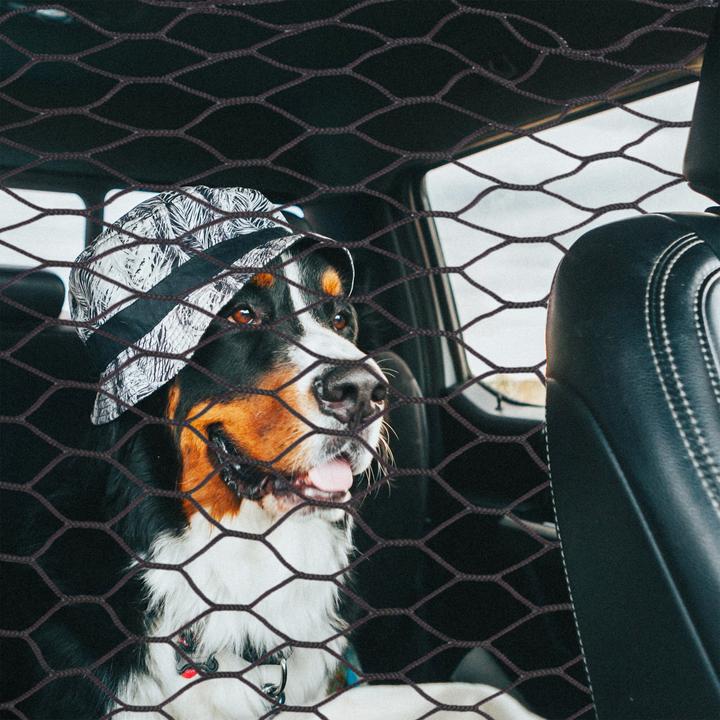 Actual product image Relaxdays Auto-disconnect network (Dog)