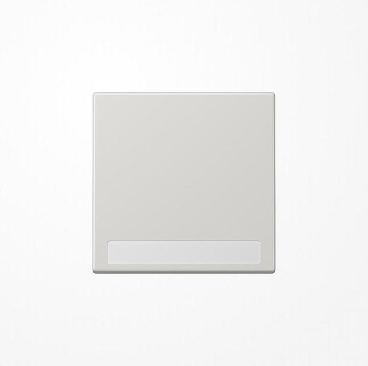 Actual product image JUNG Rocker switch LS lgr glz f.bus system LS990NALG