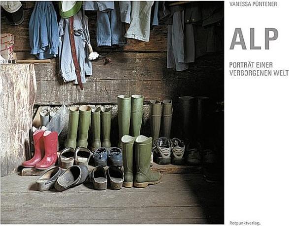 Produktbild Alp (Deutsch, Fredi M. Murer, Robert Kruker, Vanessa Püntener, 2014)