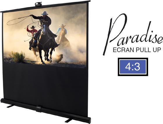 Actual product image Lumene PARADISE-170V (87.01", 4:3)