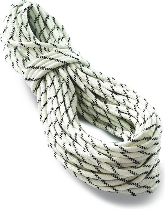 Actual product image Tendon PRO WORK 11 static rope (30 m)