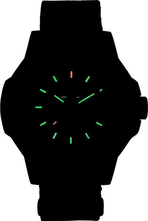 Immagine prodotto Traser 111461 (46 mm)