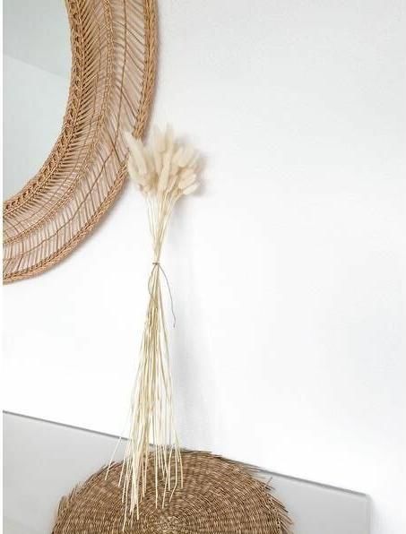 Immagine prodotto Soli Collection Fiori secchi Lagurus 50-60 cm, Bianco (Fiori secchi)