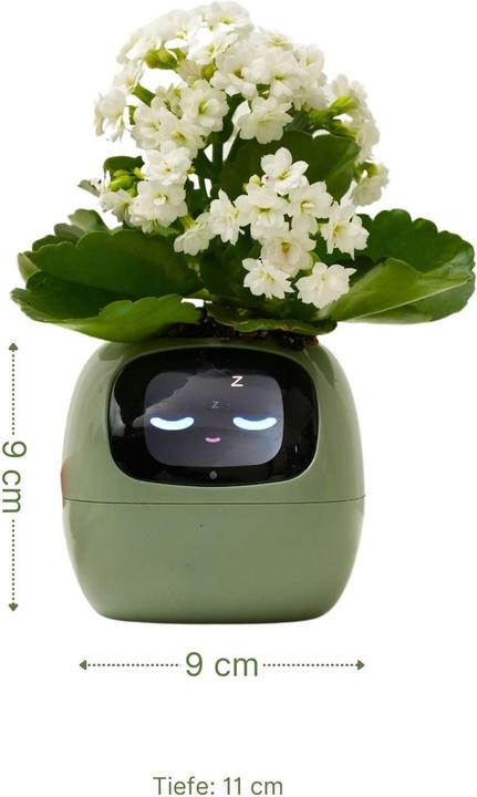 Actual product image Hermex Smart Plant Pot Electronic flower pot USB plant planter Smart flower pot Ivy Smart Planter (11 cm)