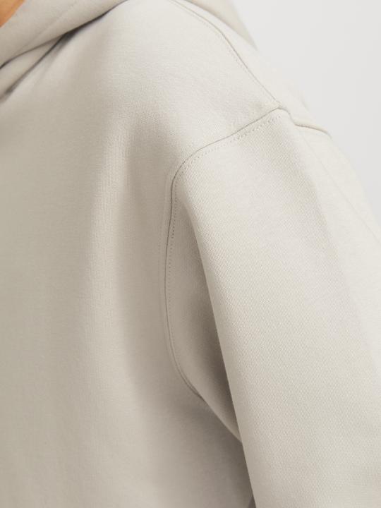 Produktbild Jack & Jones Jjestar Basic Sweat Hood Noos (L)