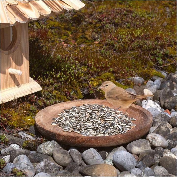 Produktbild Lyra Pet Sonnenblumenkerne gestreift (1 x, 10 kg)