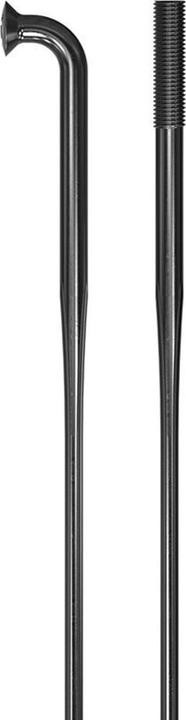 Produktbild DT Swiss Revolite