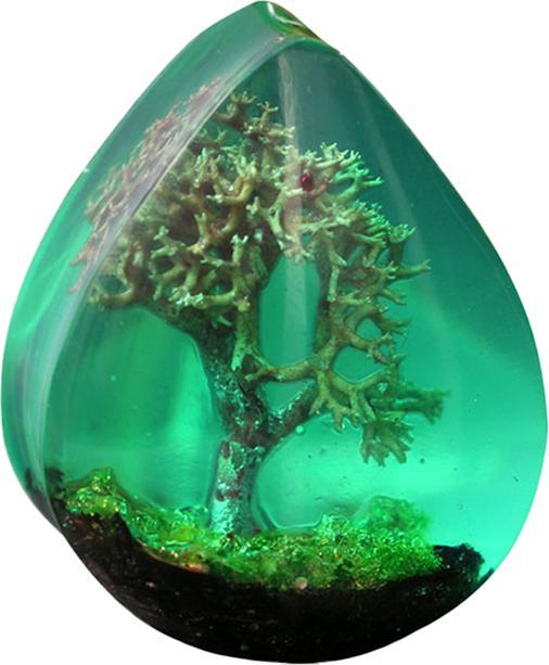 Image du produit Star Piercing Flared Plug goutte arbre des rêves époxy vert (Organique, sans laiton)