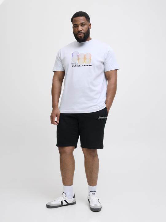 Produktbild Jack & Jones Plus Size Regular Fit Regular Fit Shorts Regular Fit Shorts (40)