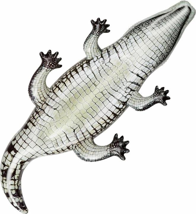 Actual product image Intex Realistic Gator
