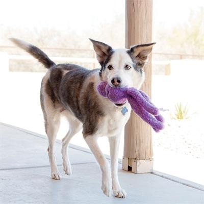 Immagine prodotto KONG Snugga Wubba Assorti (Gioco da masticare per cani)
