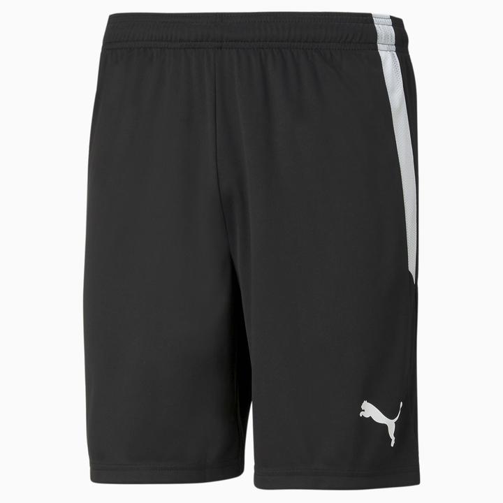 Actual product image Puma teamLIGA Shorts-704924 (M)