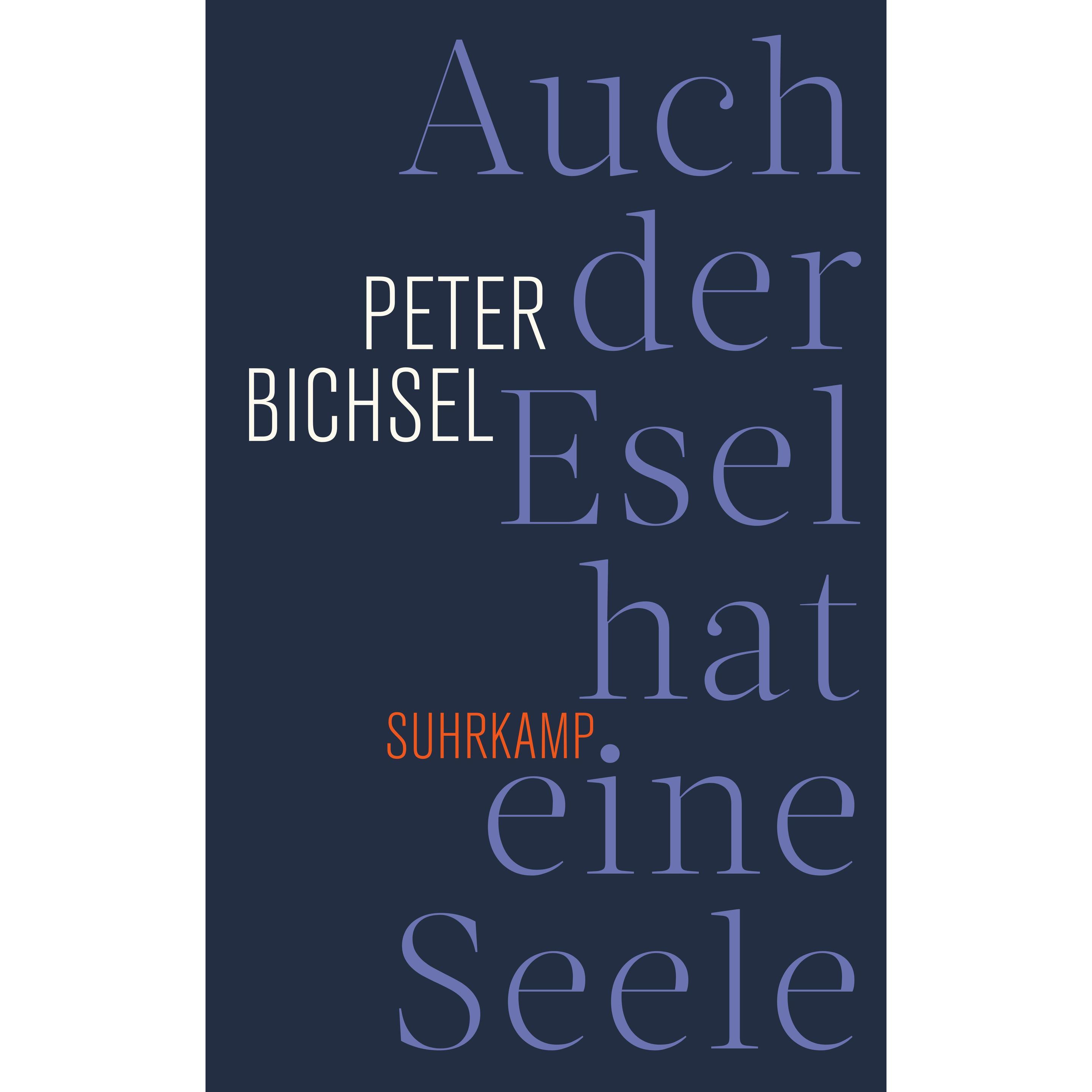 Auch der Esel hat eine Seele, Belletristik von Peter Bichsel