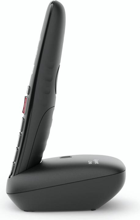 Produktbild Gigaset E290 Duo (DE-Version)
