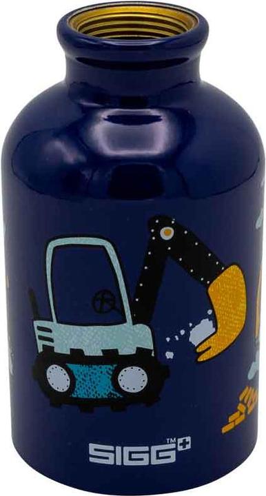 Actual product image Sigg Bottles (0.30 l)