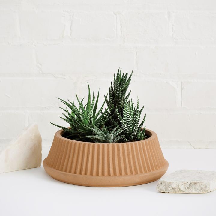 Image du produit Umbra Shift plat plissé (23.50 cm)